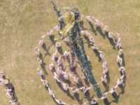 �������������