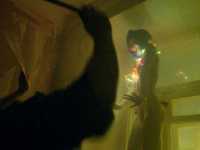 ���������������