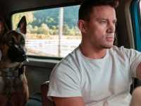 ���� � ������