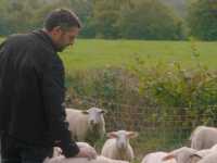 ����� �� �����