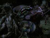 ��������� ������