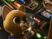 ���� ������