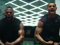 ��� �����